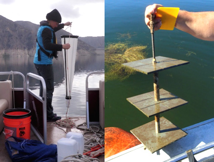 people fishing for Quagga Mussels