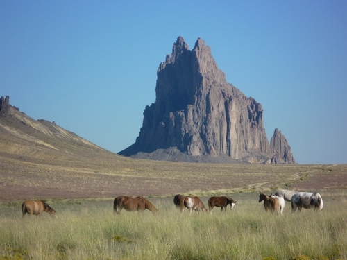 a group of animals in a field with a tall rock in the background