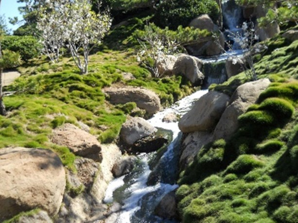 a small waterfall in a grassy area