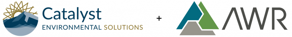 Catalyst and AWR Combined Logo