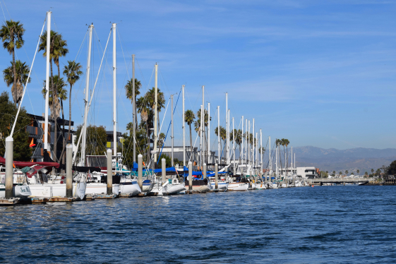 a row of sailboats in a harbor