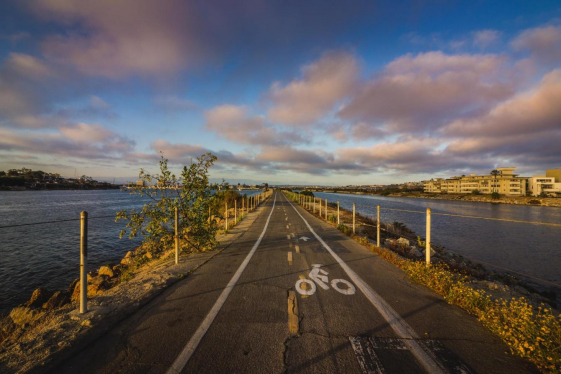 a road with a bike path and water in the background