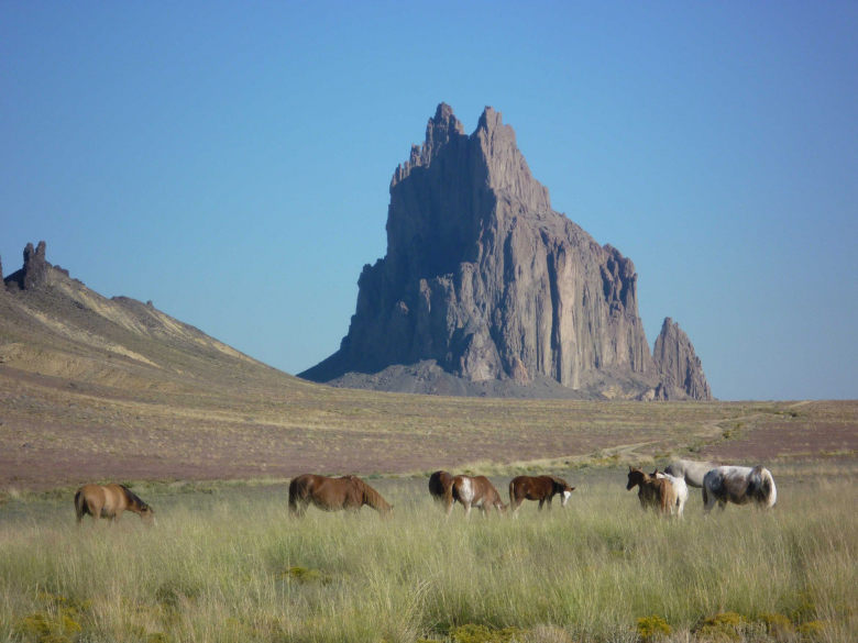 a group of animals in a field with a tall rock in the background