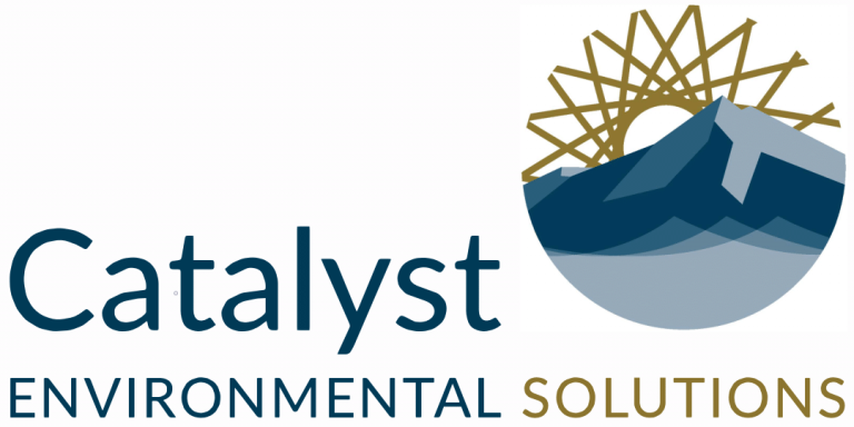 catalyst-logo-pdf