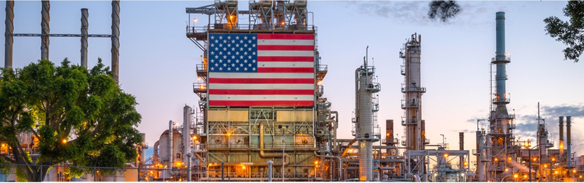 a large plant  with a flag hanging on it