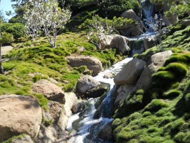 a small waterfall in a grassy area