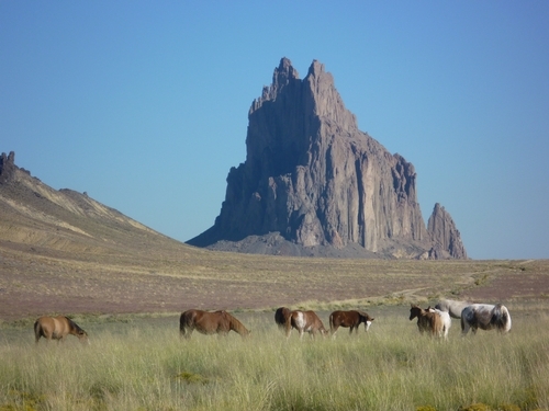 a group of animals in a field with a tall rock in the background