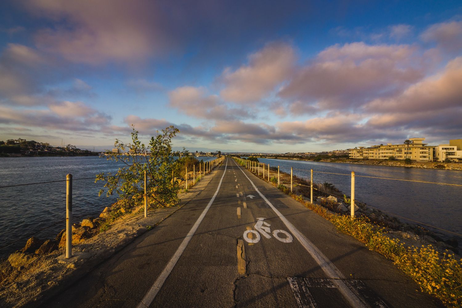 a road with a bike path and water in the background