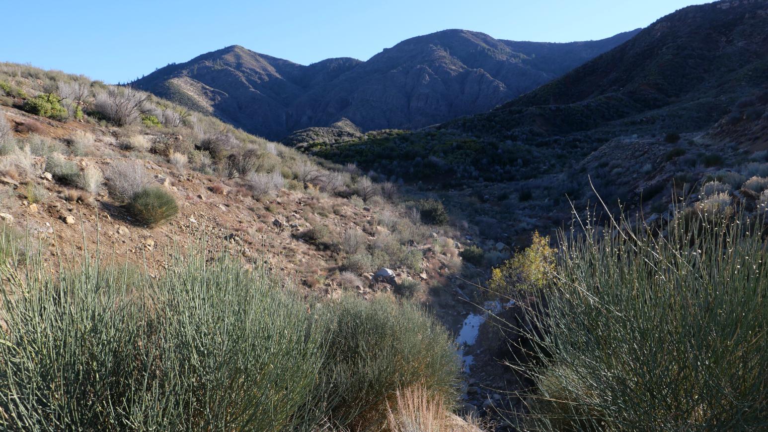 a landscape of a mountain range